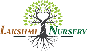 Lakshmi Nursery